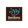 Zam Zamz Mediterranean Grill Logo