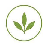 Plant Power Fast Food Logo