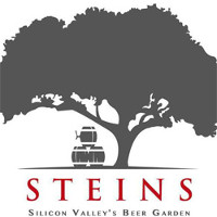 Steins Logo