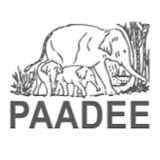 Paadee Logo