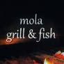 Mola Grill Pizza Logo