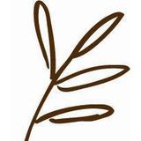 The Plant Cafe - FiDi Logo