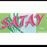 SATAY Logo