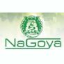 Nagoya Logo