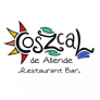 Coszcal de Allende Logo