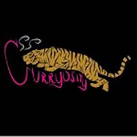 CURRYOSITY Logo