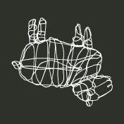 Queenstown Public House Logo