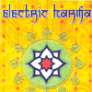 Electric Karma Logo