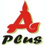 A+ Thai Logo