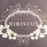 Hibiscus Logo