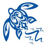 The Blue Turtle Tea & Spice Company Logo