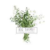 Big Thyme Sandwich Company Logo