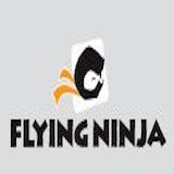 Flying Ninja Logo