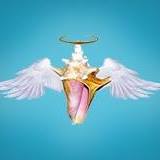Conch Heaven 2 Go