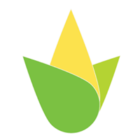 Cornucopia Popcorn Logo