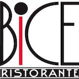 BICE Logo