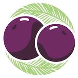 Deep Purpl Acai Bowls (Madison Street) Logo