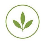 Plant Power Fast Food - Fountain Valley Logo