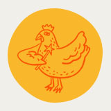 The Chicken Fairy Logo