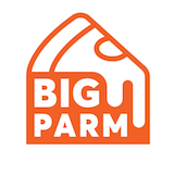 Big Parm Pizza Logo