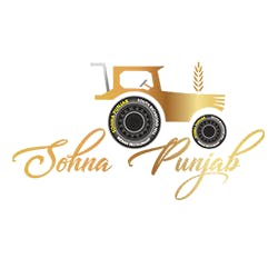 Punjabi Grill Logo