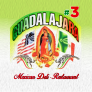 Guadalajara al Dia III Logo