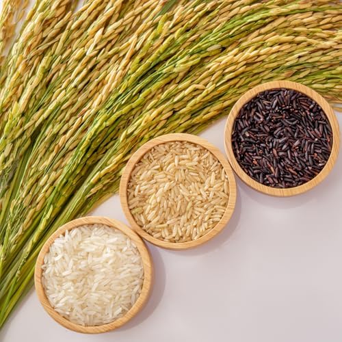 Vue 4 de Riz Gluant Thai Cuisson Rapide
