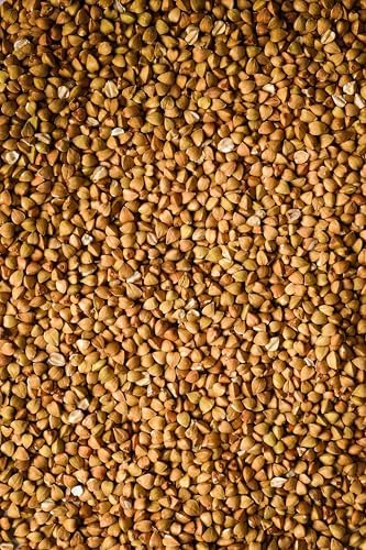 Vue 5 de Sarrasin Bio Goût Noisette