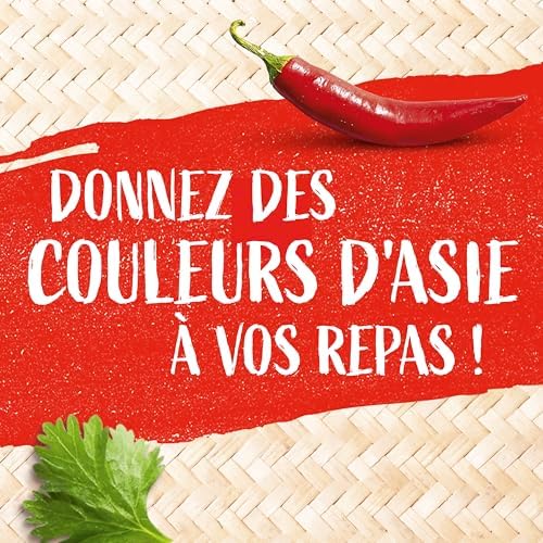 Vue 6 de Nouilles Udon Précuites Japonaises