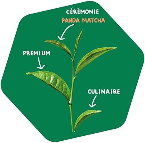 Vue 4 de Matcha Bio Shizuoka Énergisant