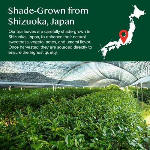 Vue 5 de Matcha Japonais Authentique Vert