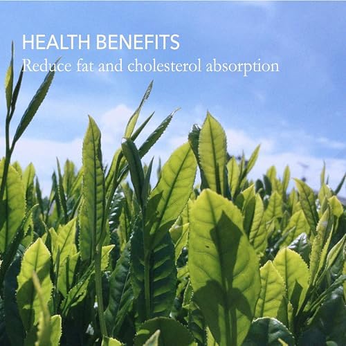 Vue 5 de Thé Vert Japonais Premium