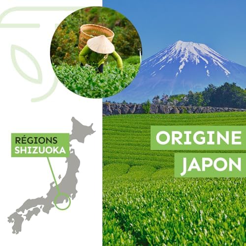 Vue 4 de Thé Matcha Bio Japonais Premium