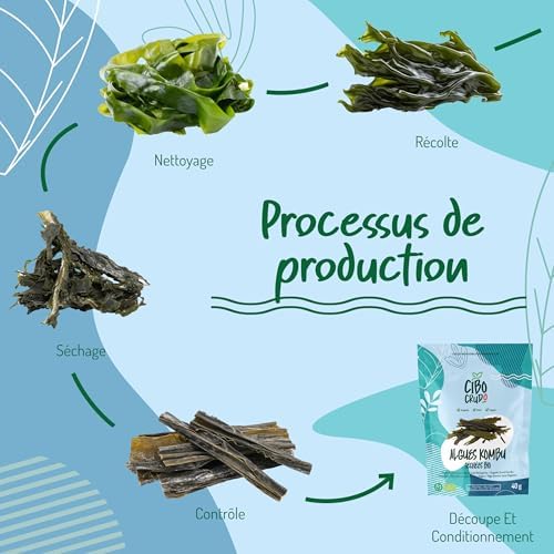 Vue 5 de Algue Kombu Bio Séchée Naturellement
