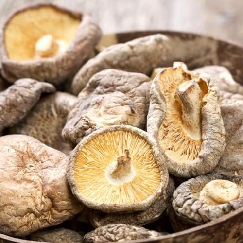 Vue 6 de Shiitake Séchés Biologiques Naturels