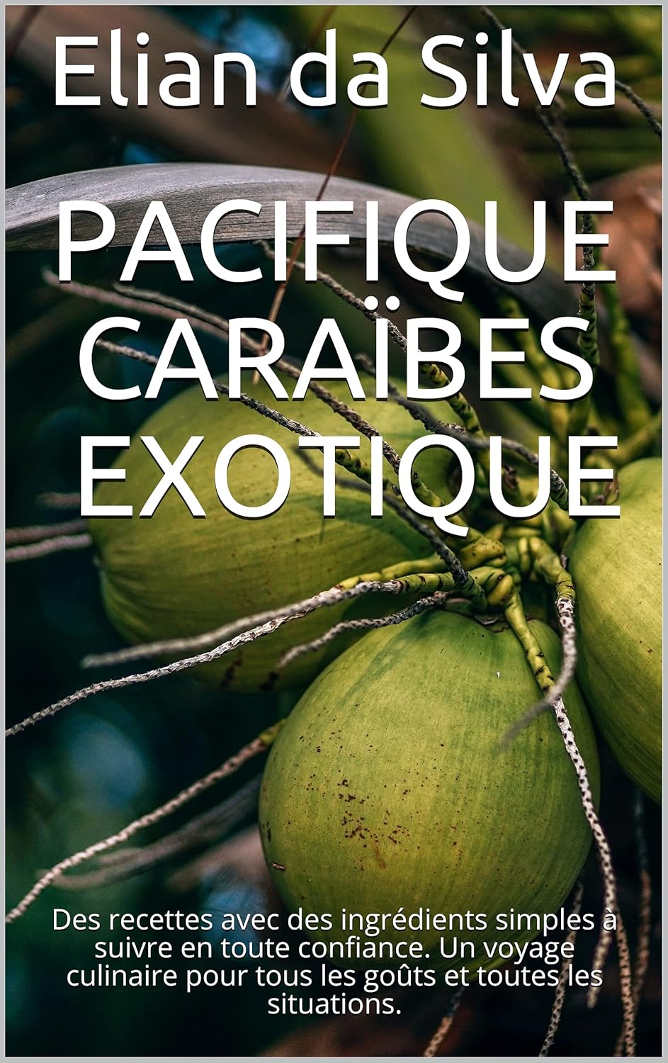 Vue 7 de Racine : Cuisine Japonaise Authentique