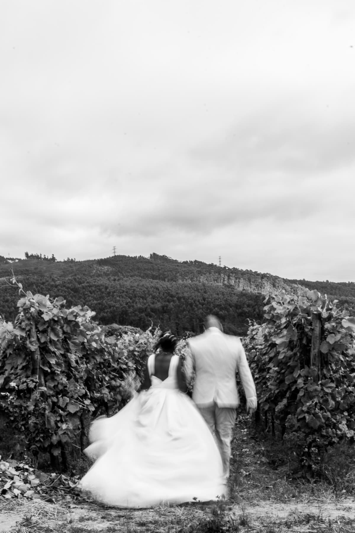 Fotografia de casamento por Estúdio 17 