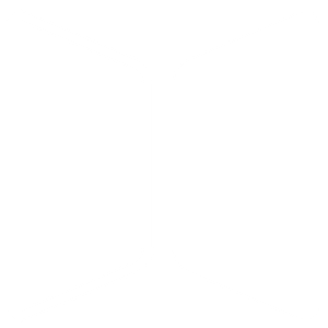 Icono Dual