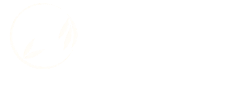 Zen Bamboo