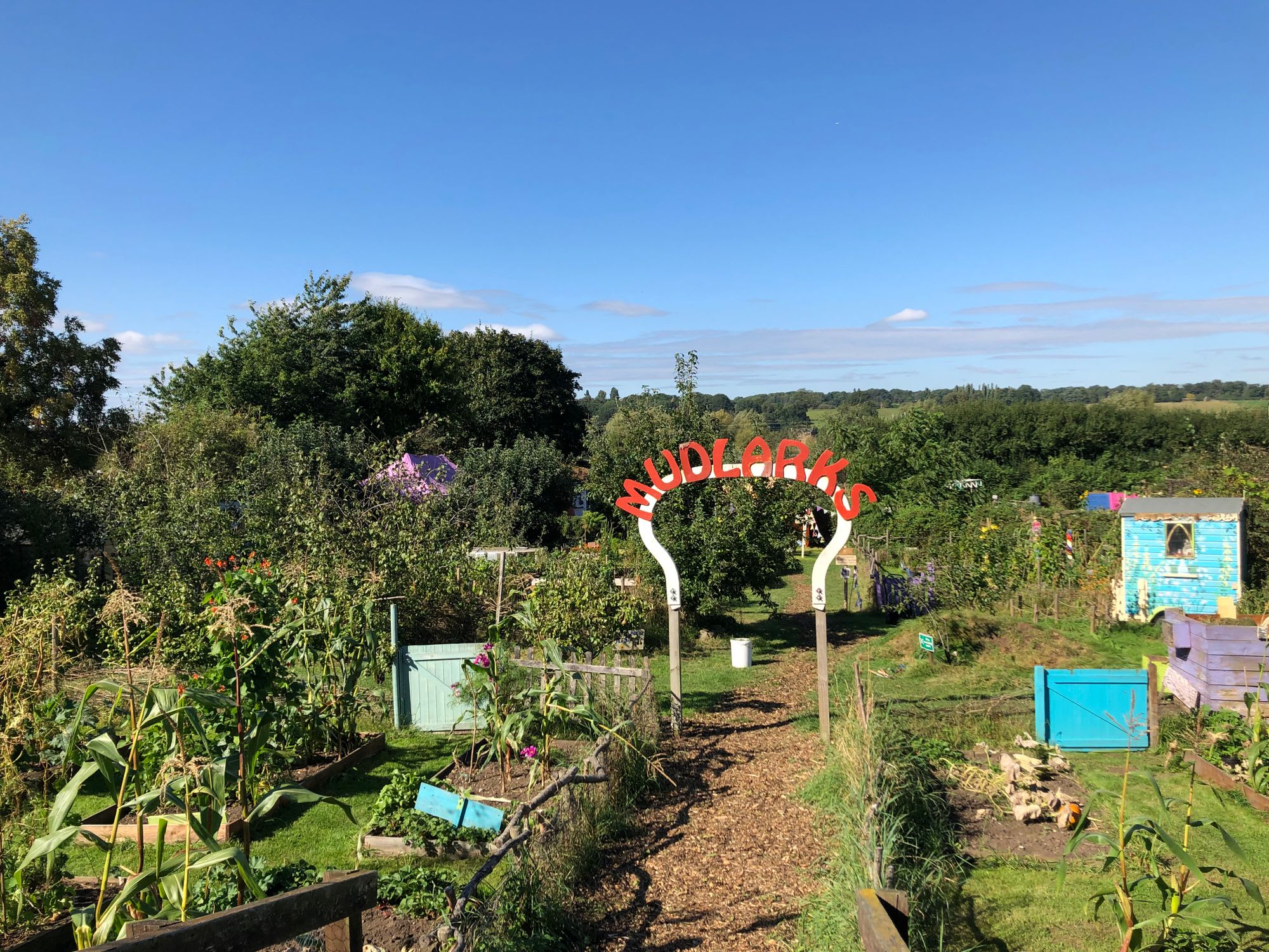 Background Image for How 5 coloured gazebos, social bubbles and community spirit got us through Lockdown...