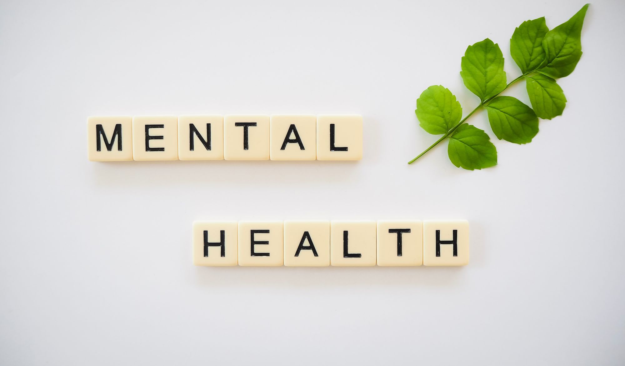 Background Image for 10% of our team are now Mental Health First Aiders