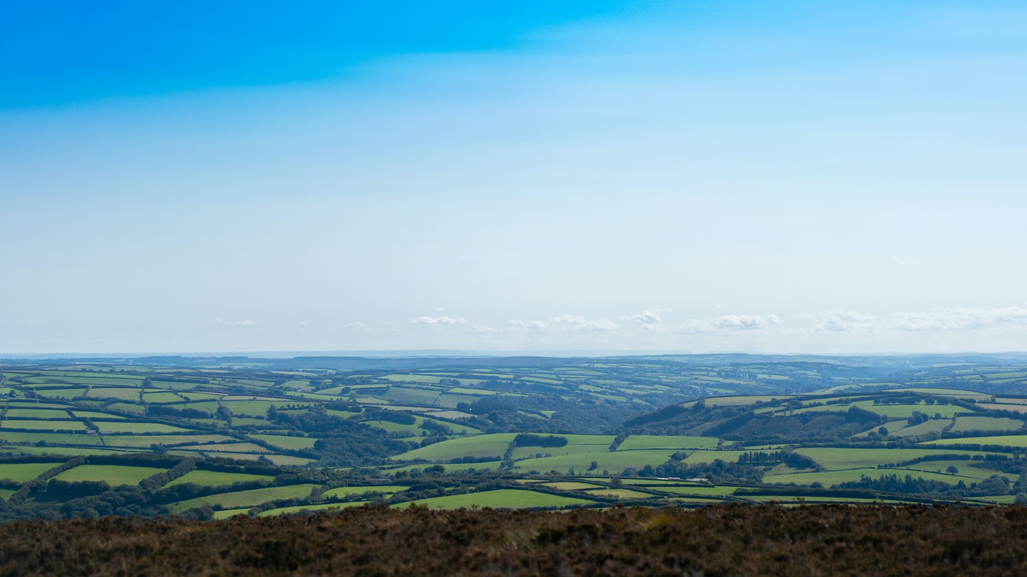 Background Image for Mental Health in the Geolytix workplace