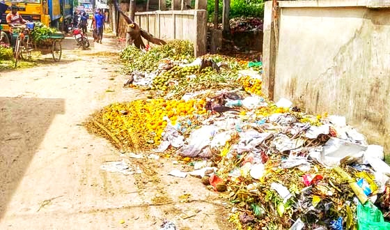 ডাস্টবিন পাশেই, তবুও সড়কে পচা ফলের বর্জ্য; দুর্গন্ধে নাকাল সৈয়দপুরবাসী