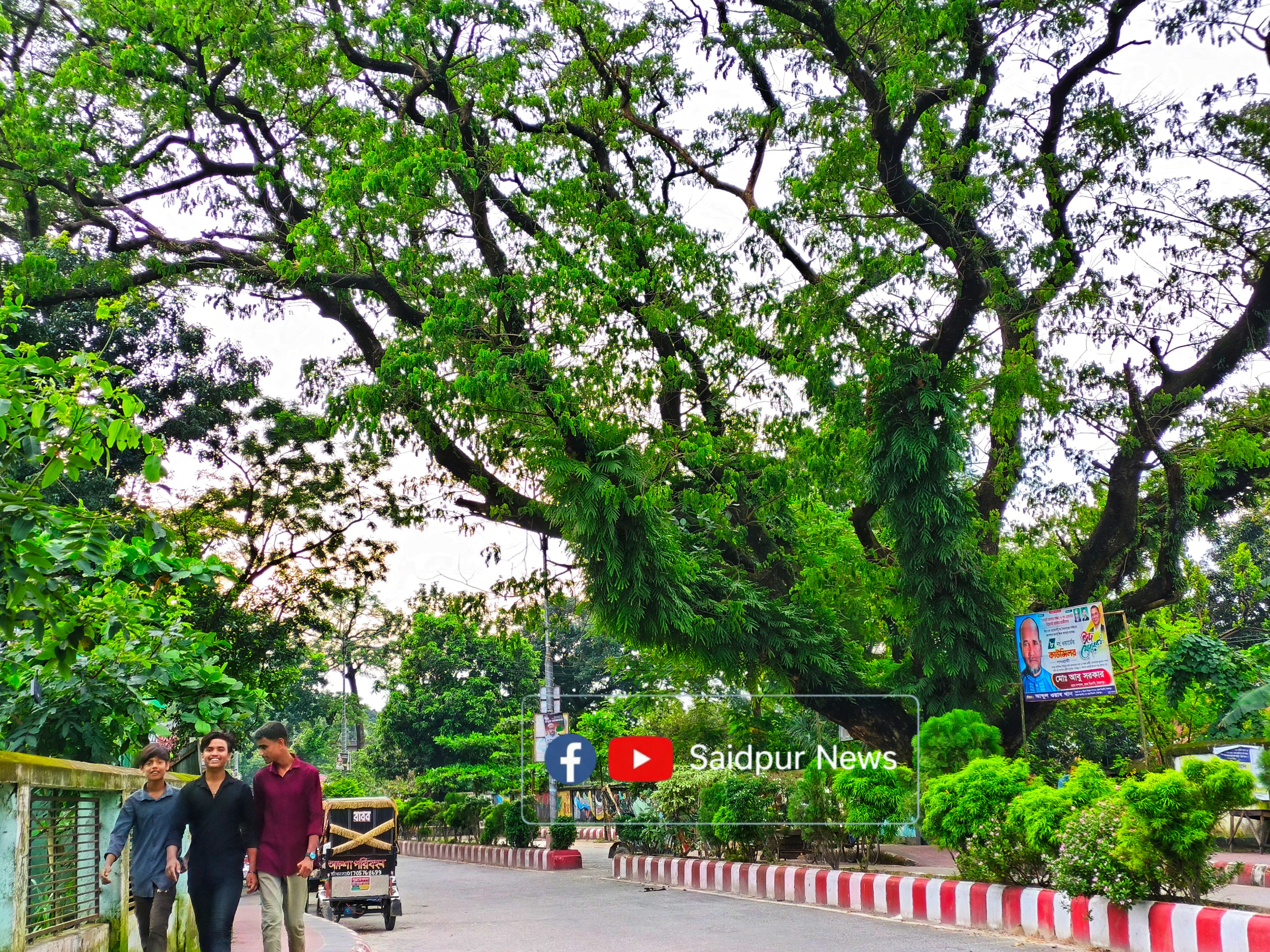 দুর্ঘটনার আশঙ্কায় সৈয়দপুরে রেলের ৩৩ শতবর্ষী গাছ কাটা হবে, বদলে লাগানো হবে ৫ হাজার চারা
