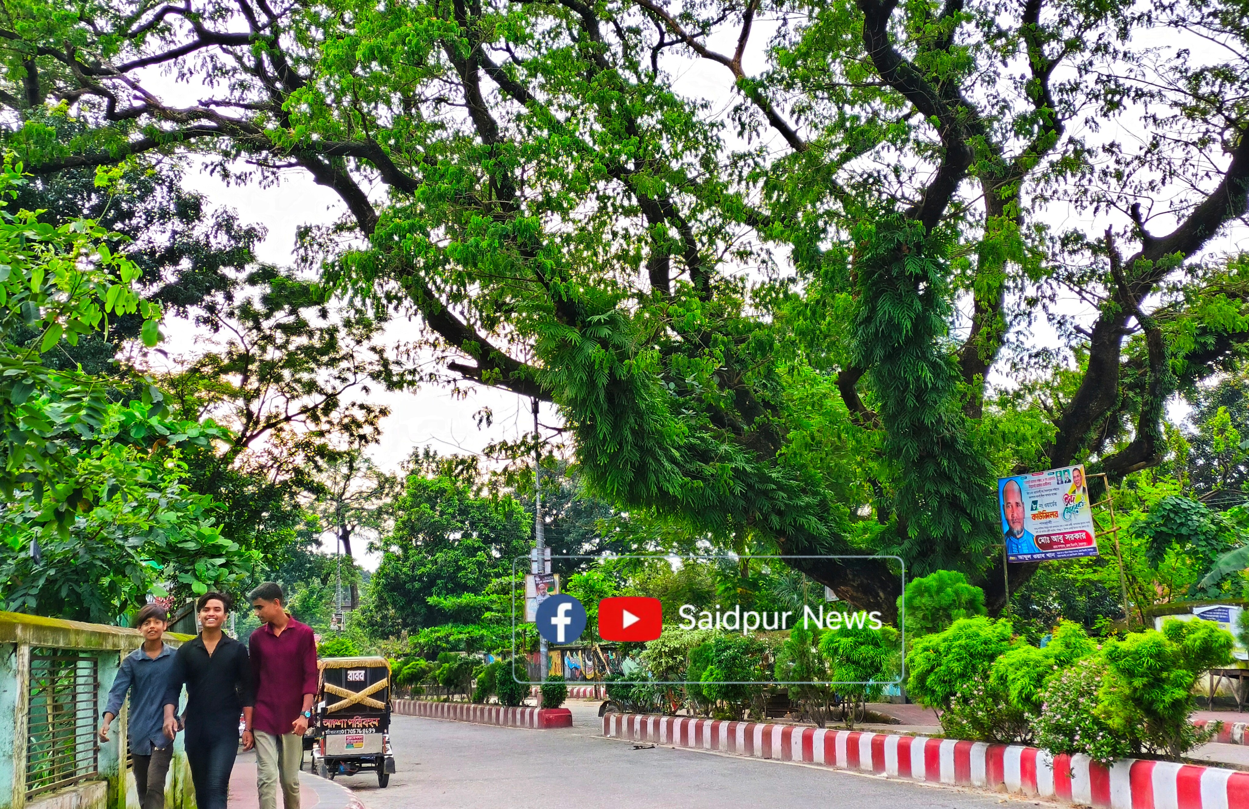 সৈয়দপুরের শতবর্ষী ৩৩ টি গাছ কাটার নিলাম স্থগিত।