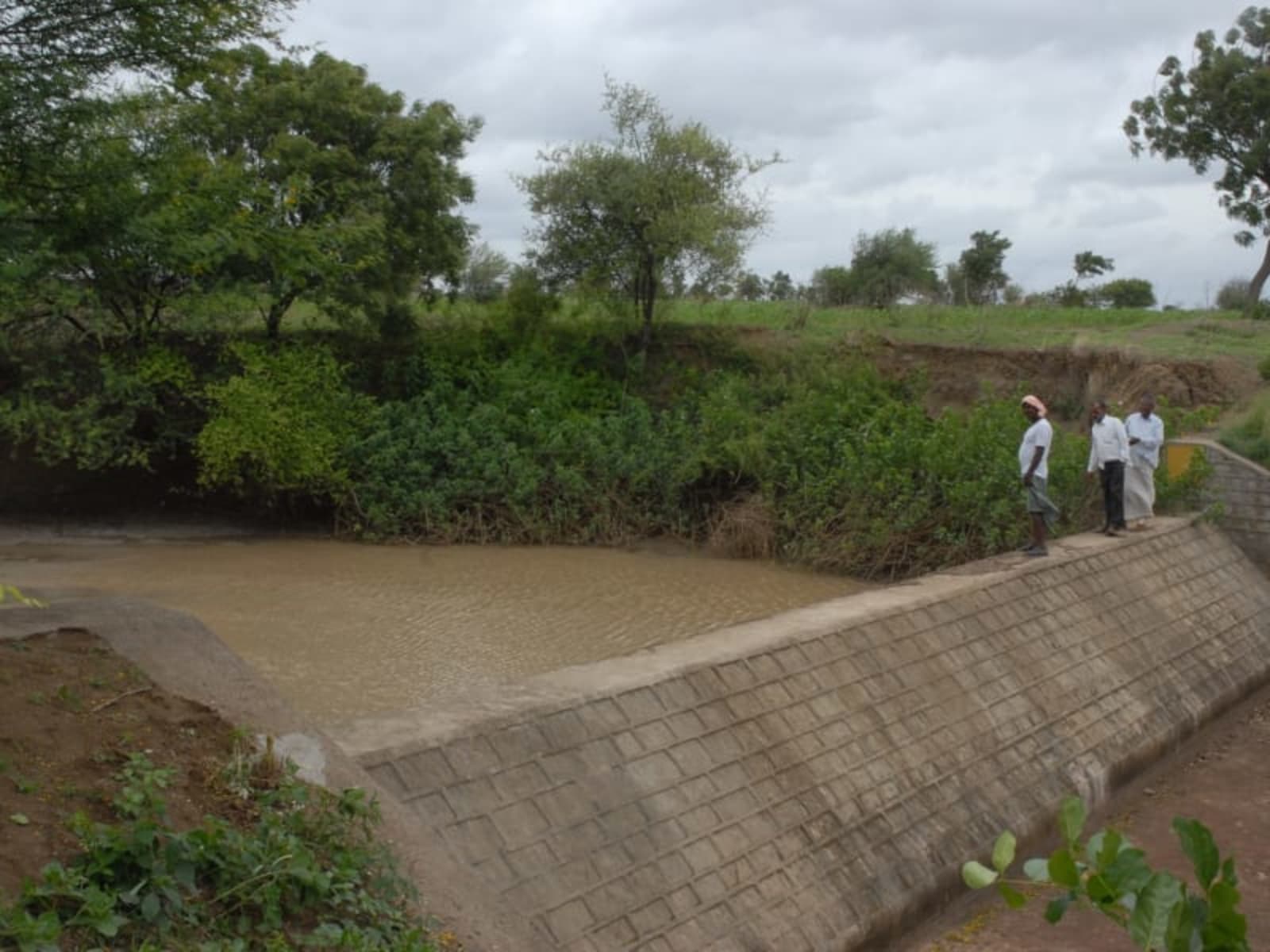 Community members working on a watershed structure in Dindigul district