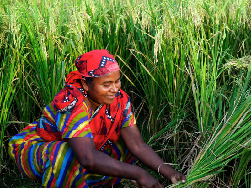Women participating in a skill development program