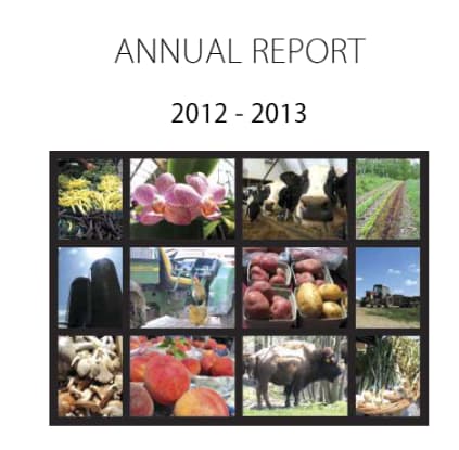 Annual Report 2012-2013