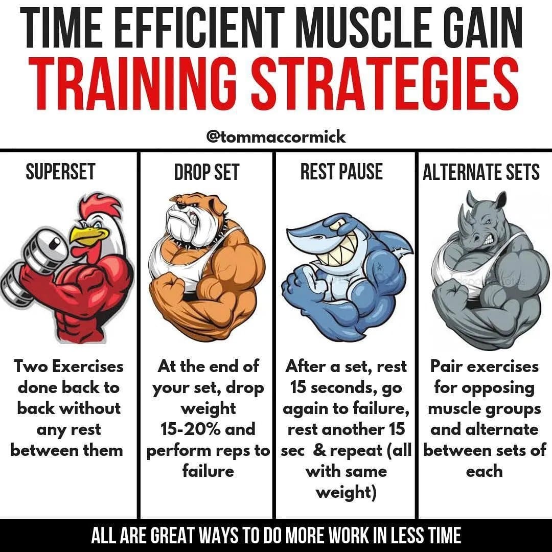 time efficient muscle gain training strategies