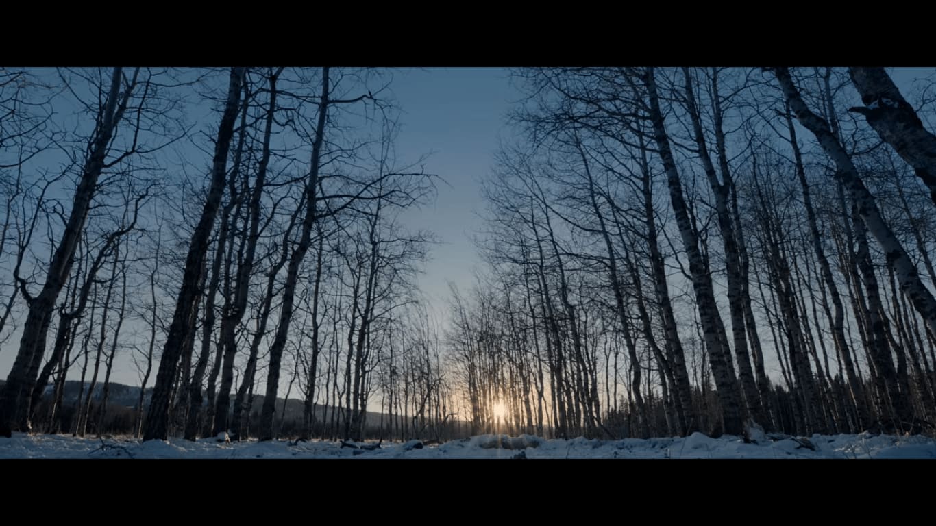 La prateria innevata